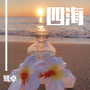 灌醉下药迷昏强奸在线播放
