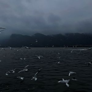 日本久久美女裸照高潮美图
