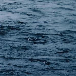 丁度巜生殖按摩1995在线播放
