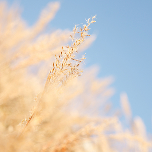 一个上边添一个下边操
